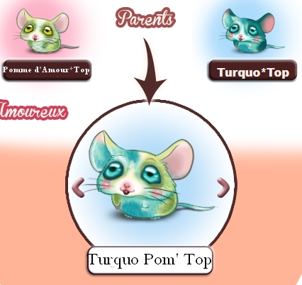 https://i.postimg.cc/Kc5GRLFR/Turquo-Pom-Top.jpg