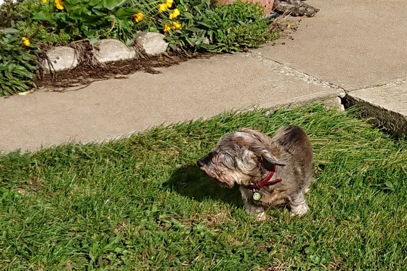 [Image: DSC-2100.jpg]