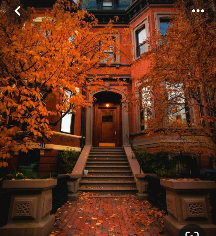 Screenshot_20231201_000750_Pinterest