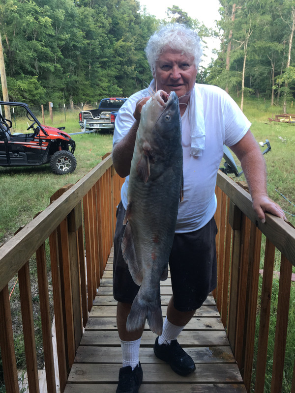 65CFDE38-95D8-4A53-9ABB-E244453A1EED