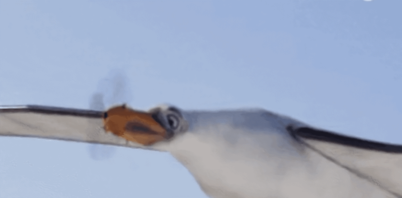 Imatge