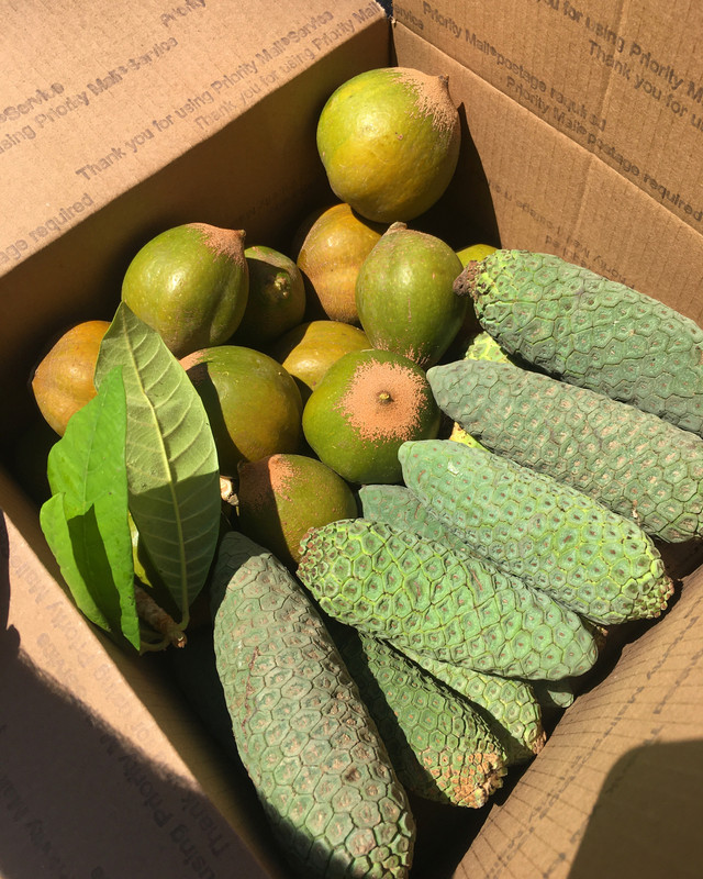 140EB24B-7E3A-4E70-BC5B-BA10EFE2DE5D