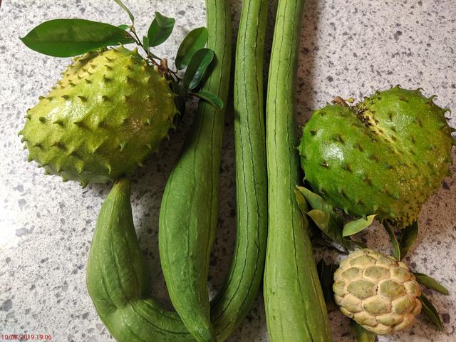 [Image: IMG-20191008-190627.jpg]