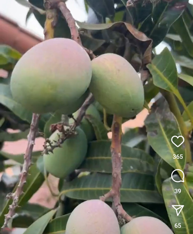 Screenshot_20240829_175859_Instagram