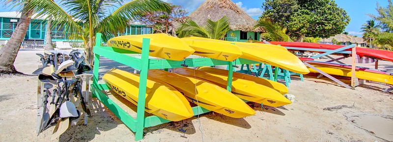 yellowcanoes.jpg