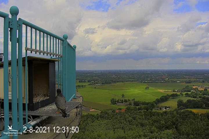 campics vanaf 1 juli © VWGGemert en bonusjes van ter plekke - Pagina 13 2