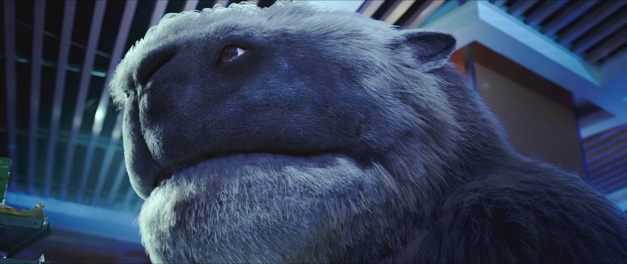 Monster Run 2020 BluRay [Hindi + Tamil + Telugu + English] 480p, 720p, 1080p ESub Screenshot