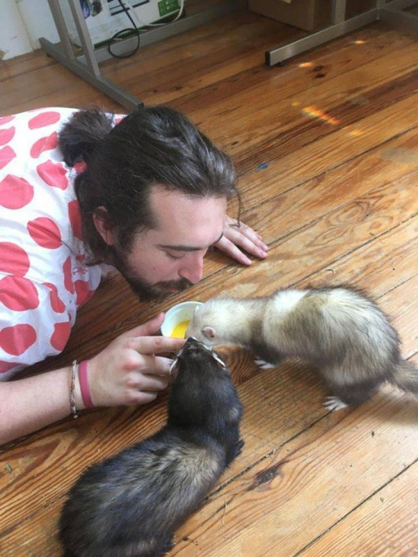 Pets-15