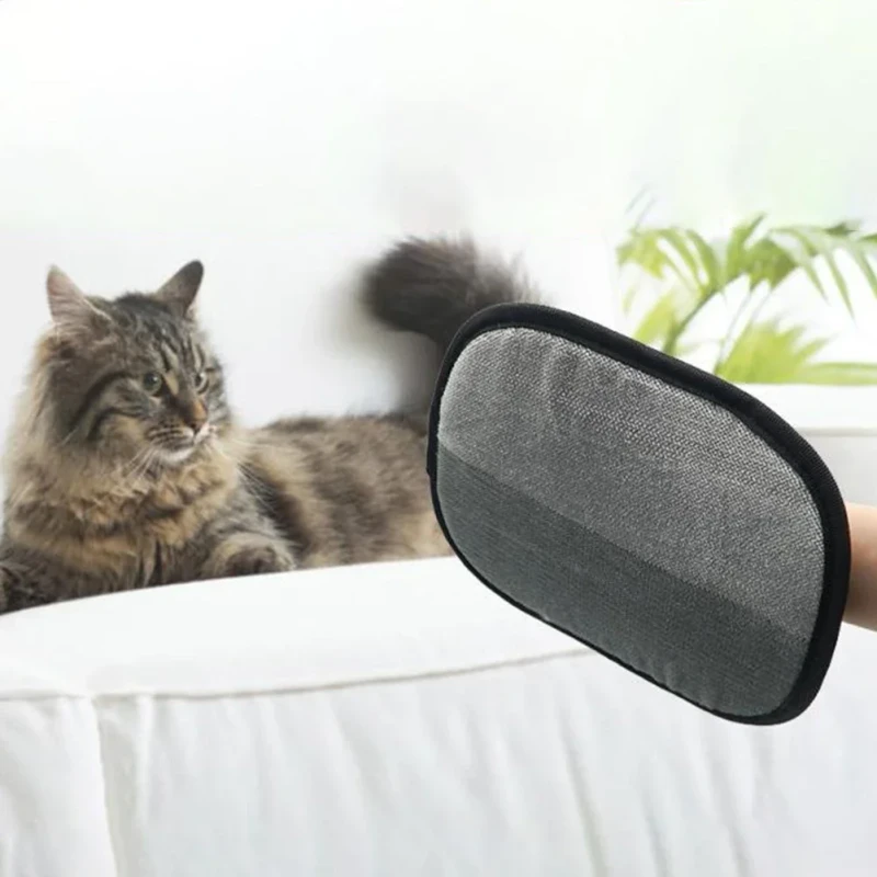 Tabby cat with grooming glove