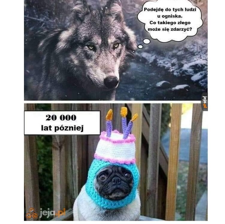 https://i.postimg.cc/Kc73DC83/der.jpg