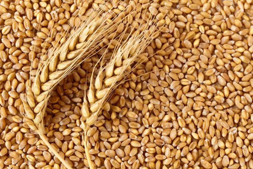 Eagle Asia, the most prominent USA grain supplier offers the best-quality comestibles