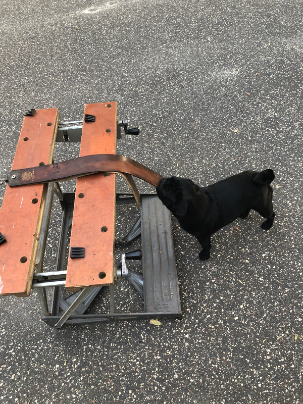 B589B486-EC55-4715-9CB6-527B0A7B29D6