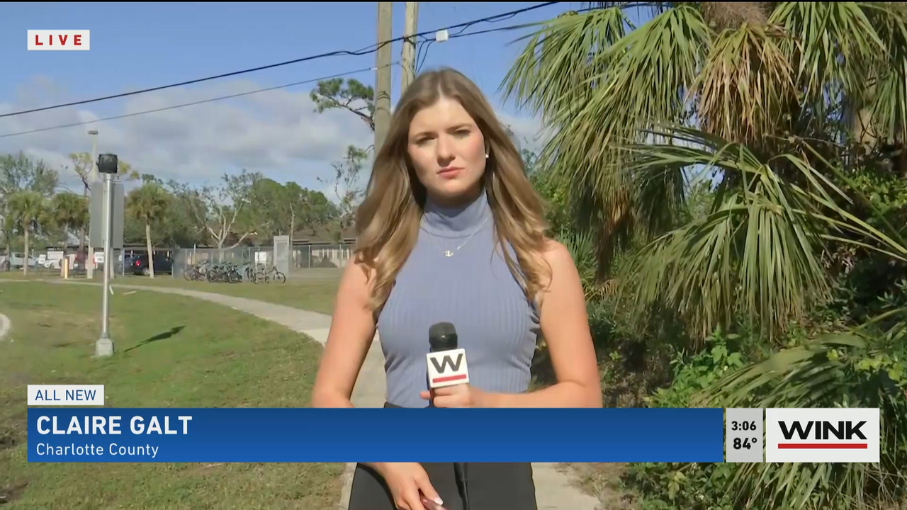 02.01 - 20.00.00 - WINK News at 3pm  ᴺᵉʷ..ts_snapshot_00.12.34.682