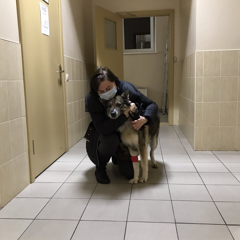 5B32FA59-91C6-4A74-AB67-FECE902527B9