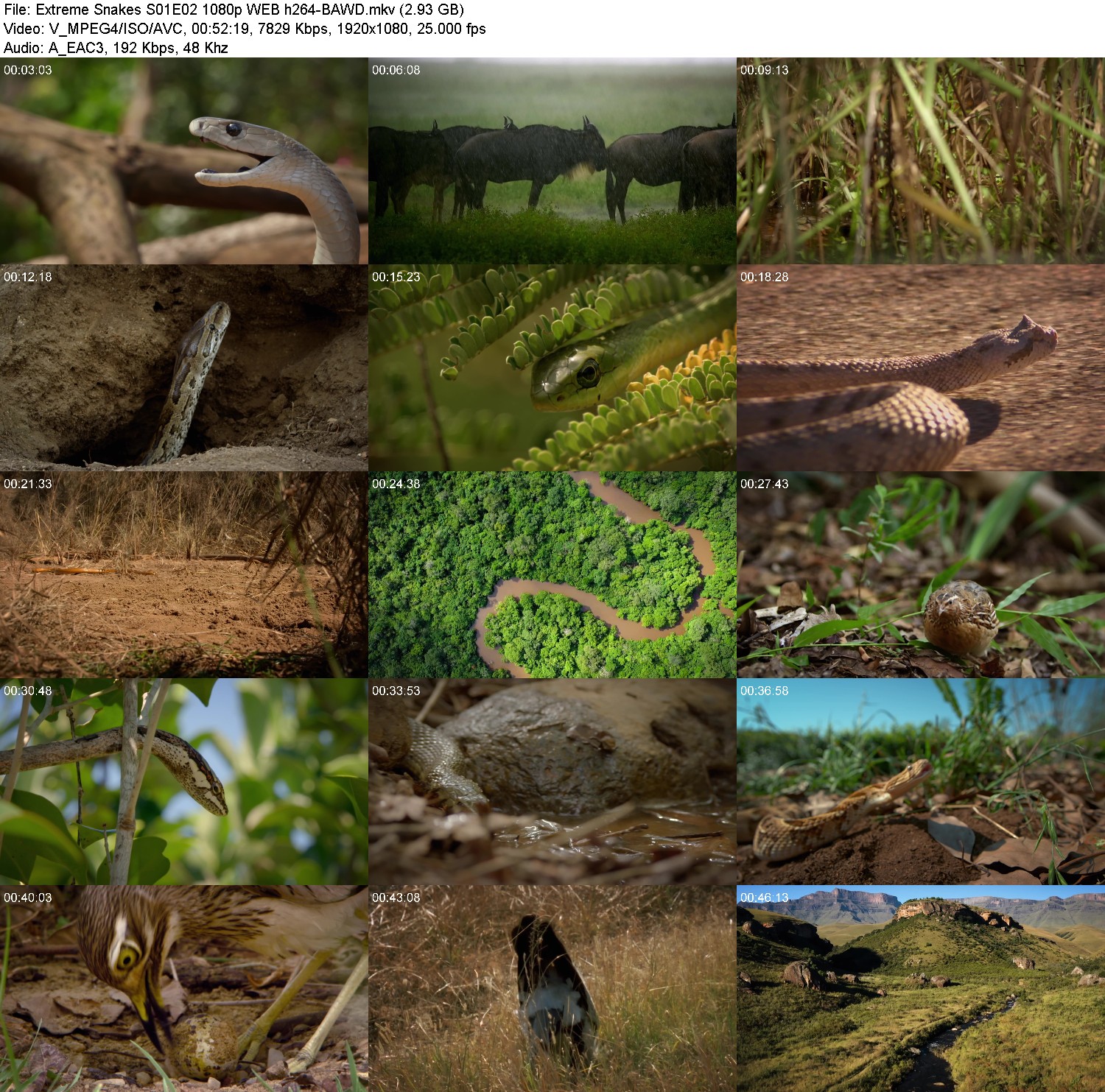 [Image: c49ev83nweym.jpg]