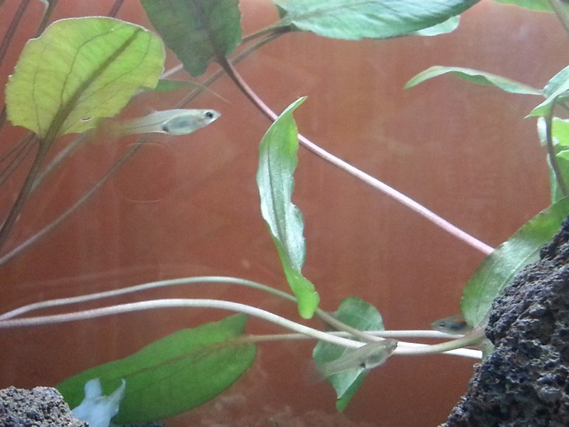 20130918_193103 (Copia)