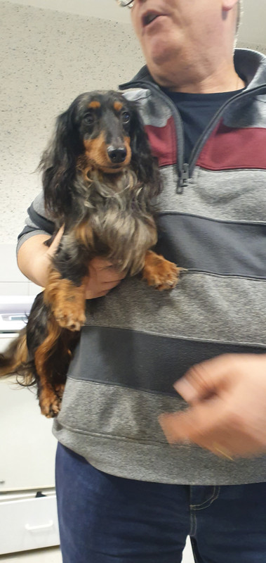 [Image: 20230309-181133.jpg]