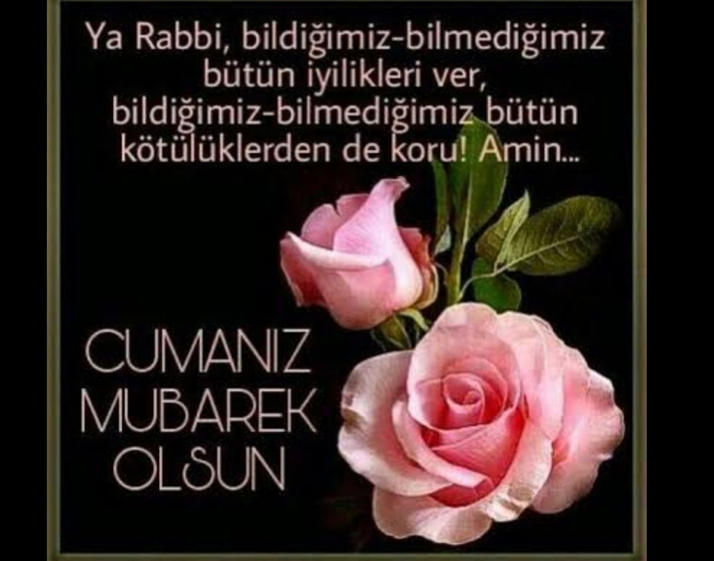 resim