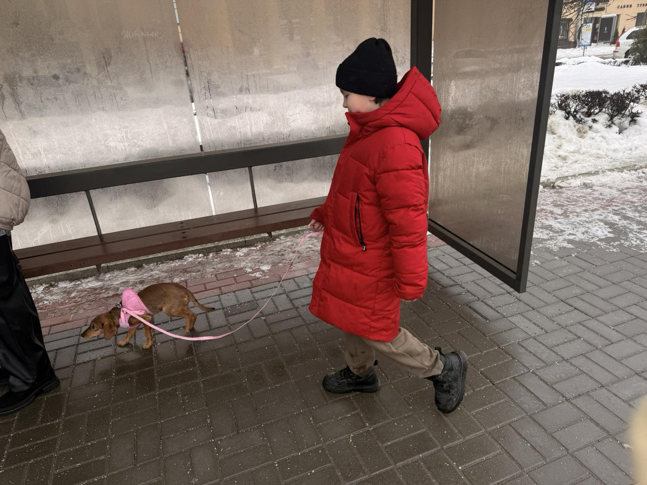 IMG 78a15840c7f343b071da857a5e9504ba V