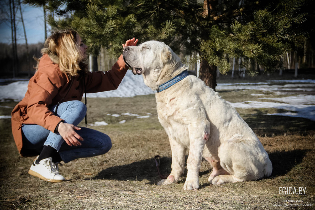 596C88B3-EFA7-4715-B8E3-AAC8CD83CBEB