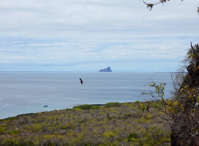 Día 15 (2 de julio): Playa Man, Punta Carola y Cerro Tijeretas - Galápagos 2022 (6)