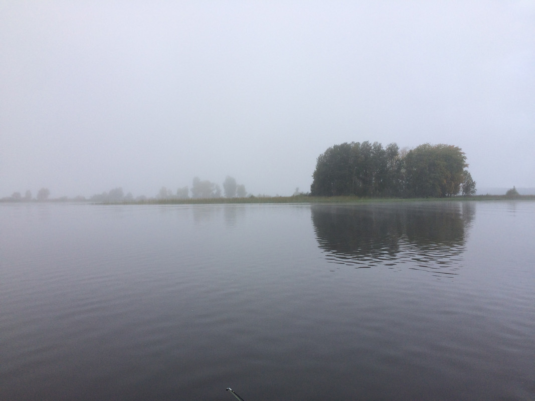 IMG_8134 - джиг спиннинг рыбалка  блесна воблер катушка  судак щ