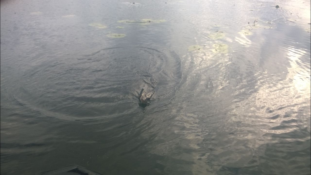 image-0-02-05-609341cfebeaa4e80ab72e98c17555186b