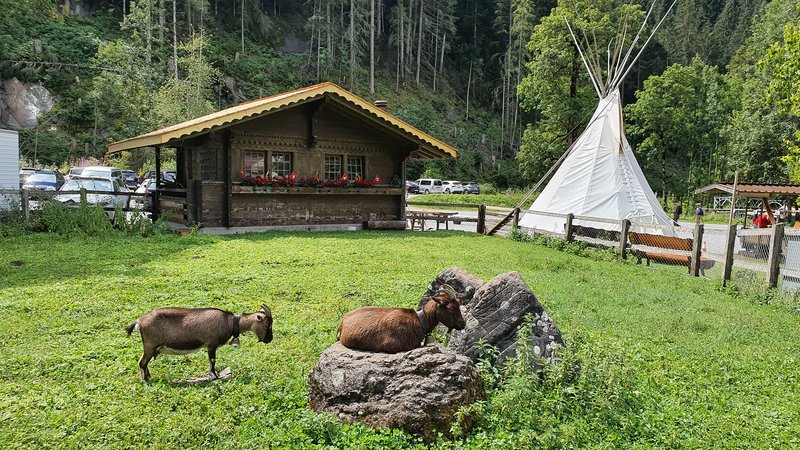 SIMMENFÄLLE (Lenk in Simmental) Y BARBARABRÜCKE- FAULENSEE - 50 sombras del verde en Suiza y Alemania (13)