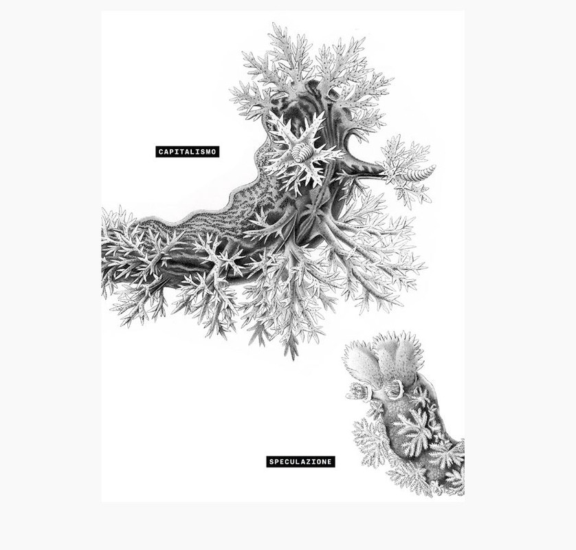 Il Peg M Poss (2020) 4