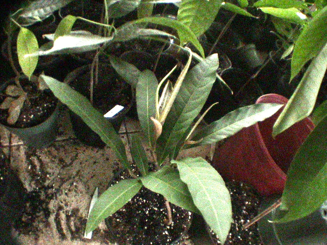 DSC01289