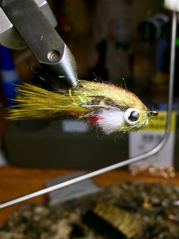 3009F470-B6F9-4FBA-929B-0C8734F78590