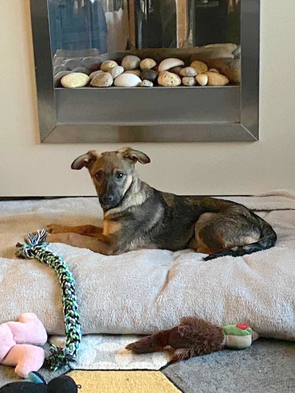 155424361_4048874985220681_4737781262238718664_n