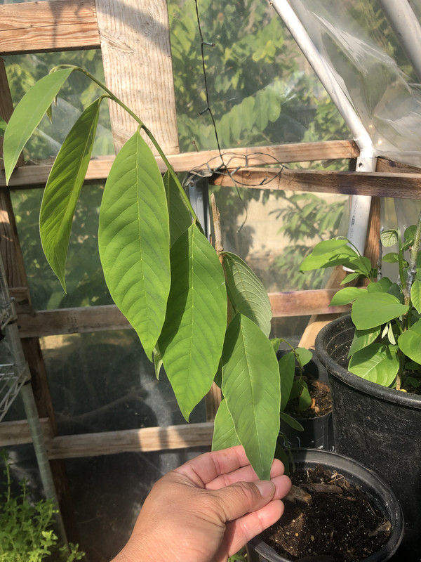 E1CBC4F4-19B2-4004-8A34-59551C880728