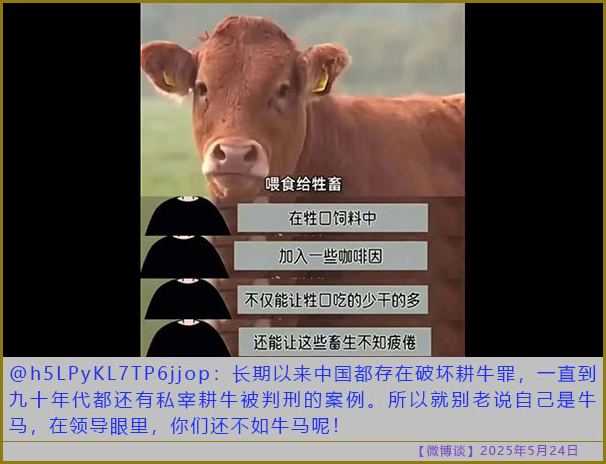 https://i.postimg.cc/KcBn87Cd/20250524-bt-7.jpg