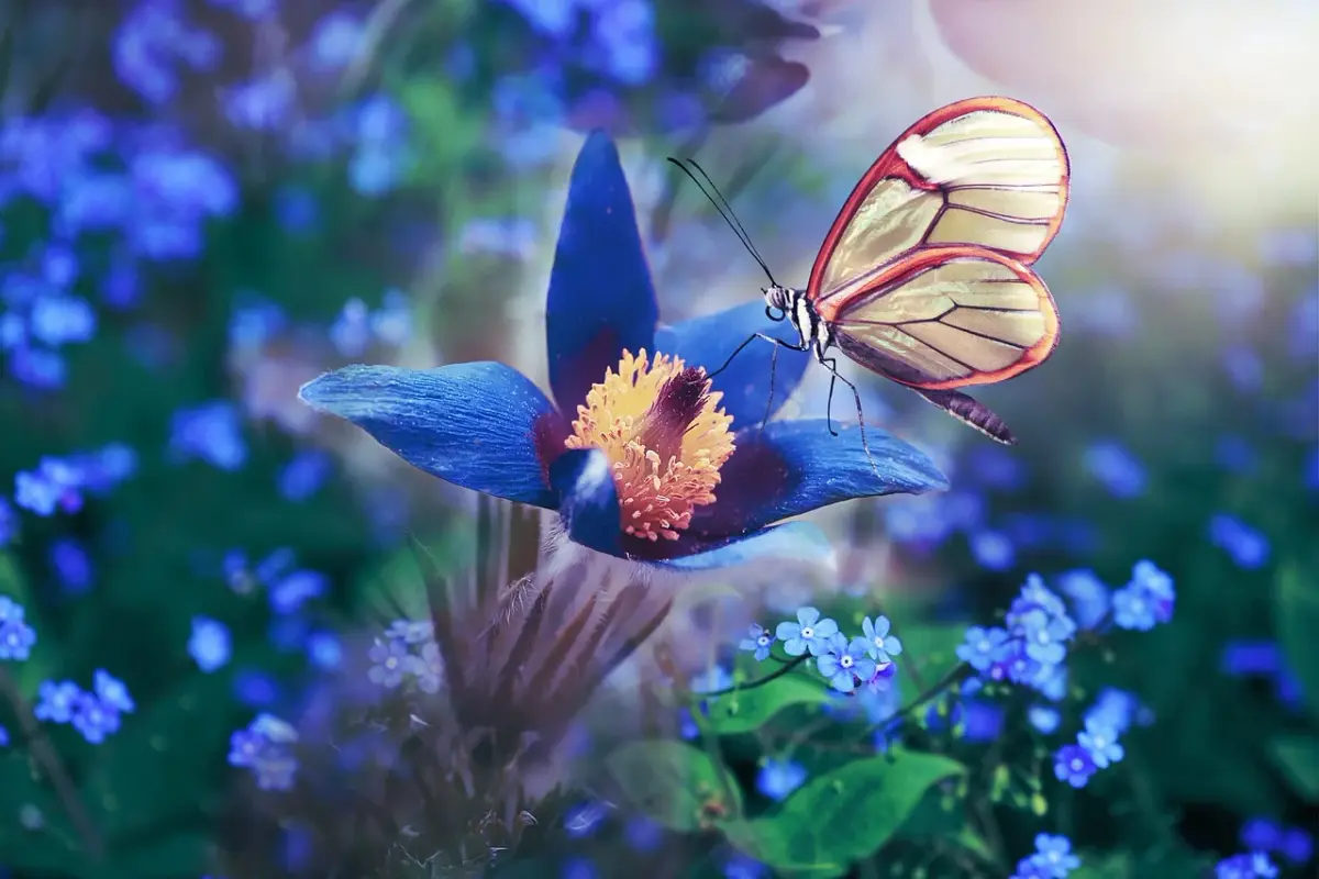 blue-butterfly-4745902-1280.webp