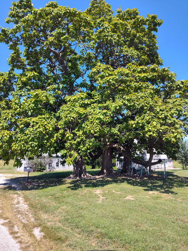 IMG_20250828_142830913_HDR