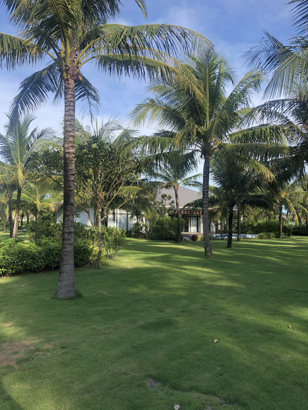 457B8884-C0BE-4D0C-8E60-39C3CD435447