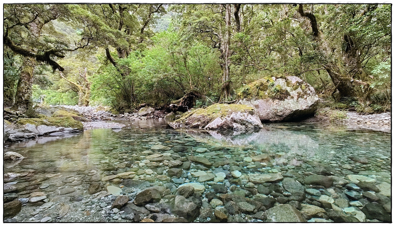 Fiordland NP: Milford Track (enero 2023) - Escapadas y rutas por la Nueva Zelanda menos conocida (29)