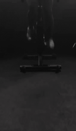 IMG-7954.gif