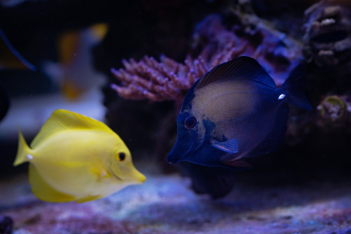 005FC0EE-E5EA-4E52-9D81-526D5296C700