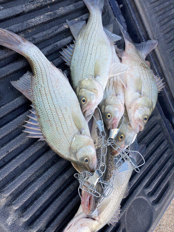 5F13C17E-5D73-42D9-95BE-5DCCE22AF9E2