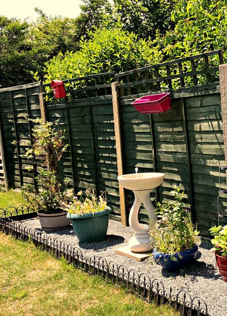 garden-panels-july-2024.jpg