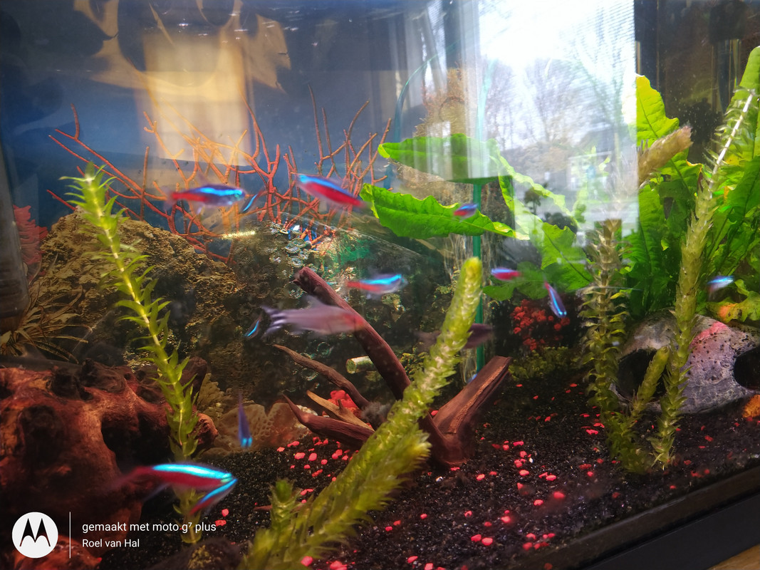 IMG_20201119_112437775