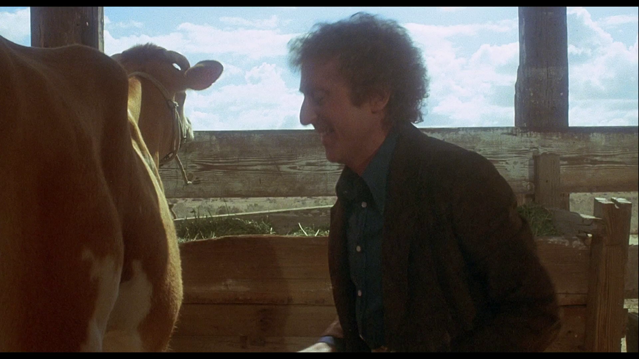 vlcsnap-2023-01-20-20h03m55s291