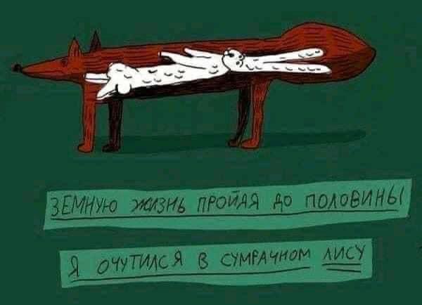 1642091365_shutok.ru.16328117