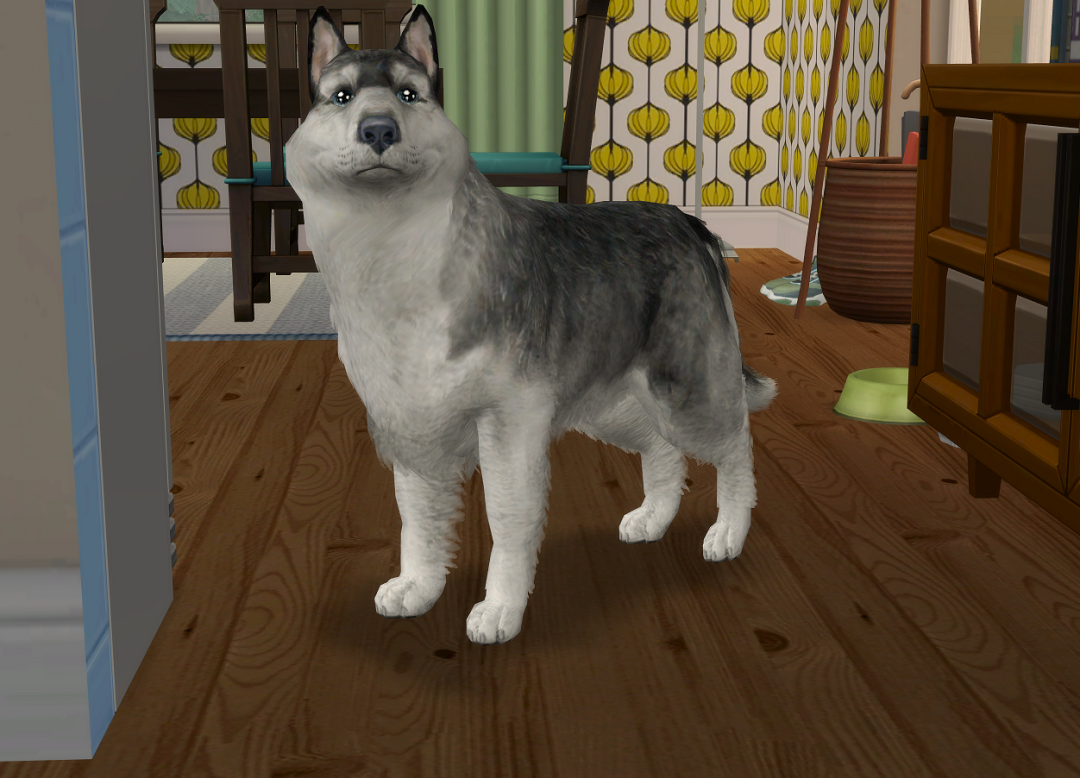 ksnip-20250804-113402