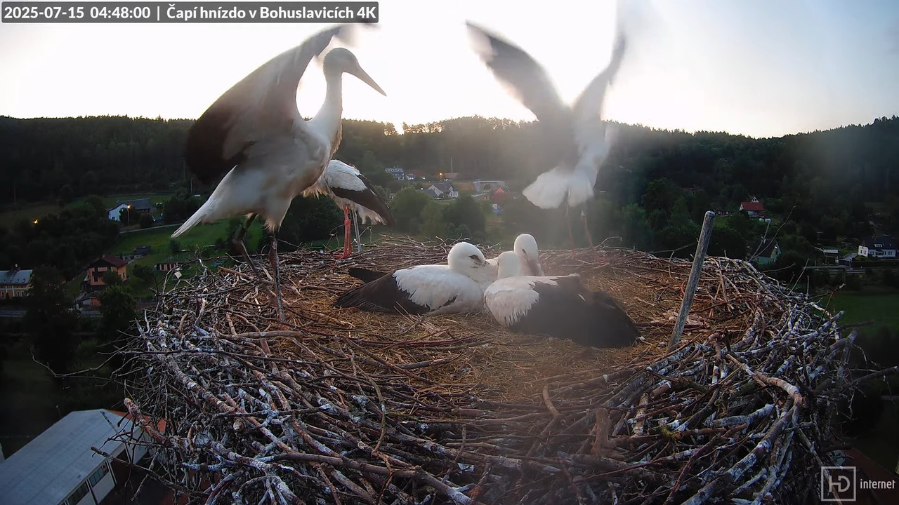 Tiešraide no KARA uzņēmuma stārķu skursteņa Bohuslavicē netālu no Trutnovas 10-30-22 screenshot