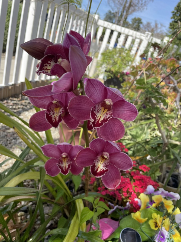 3-ADFBC72-3-FC1-4-D7-B-9-BA7-964-A04071-D20-1-105-c