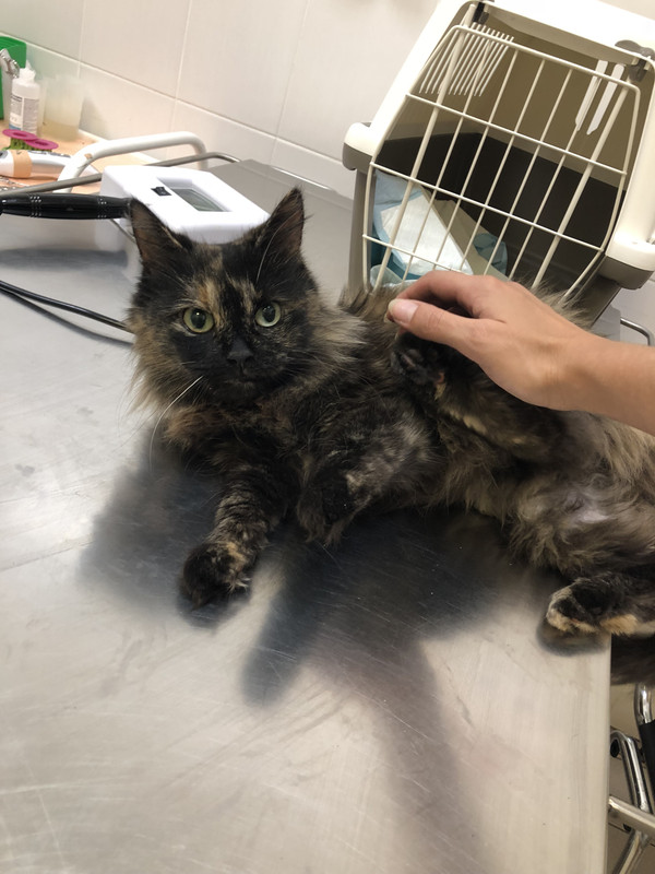 52359DB7-6A62-4F2A-B740-B97B315BF988