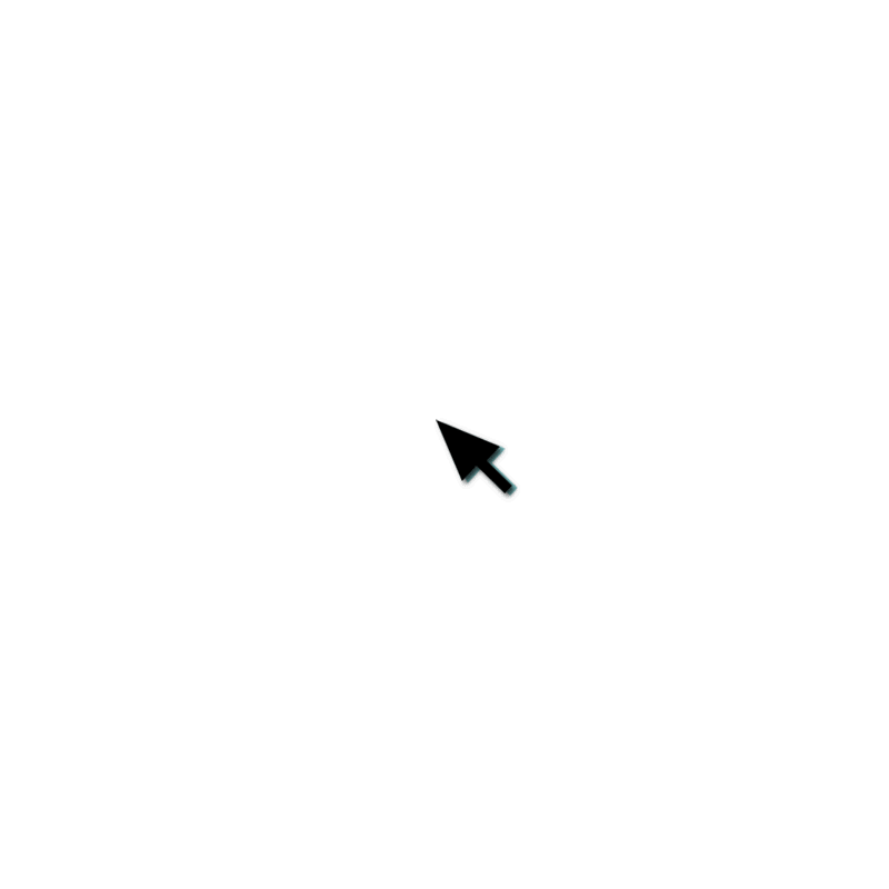 Person